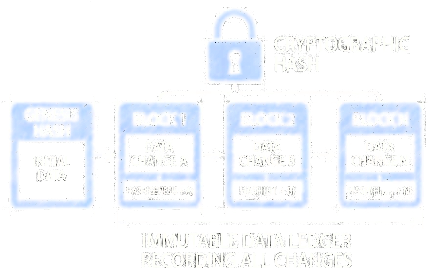 Verifiable Computing